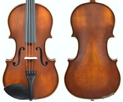 Enrico Student Plus II Violin Outfit WITH PROFESSIONAL SETUP