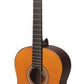 Valencia Classical Guitar Series 200